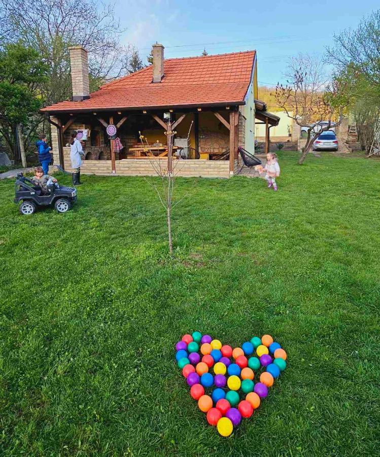 Fruska House Villa Besenovacki Prnjavor Buitenkant foto