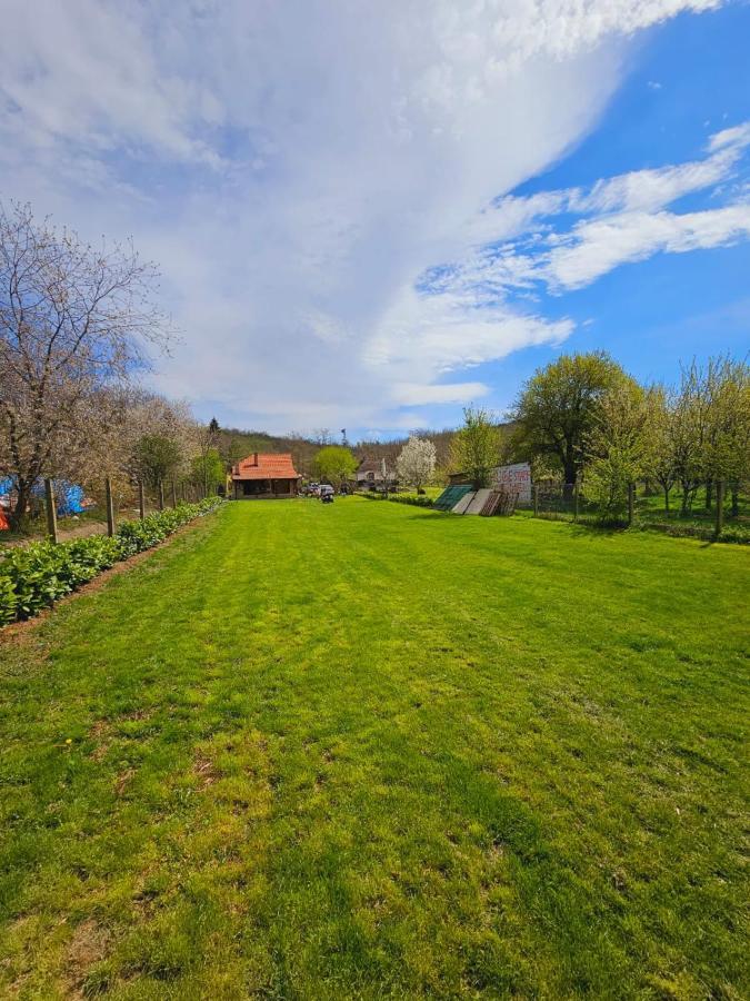 Fruska House Villa Besenovacki Prnjavor Buitenkant foto